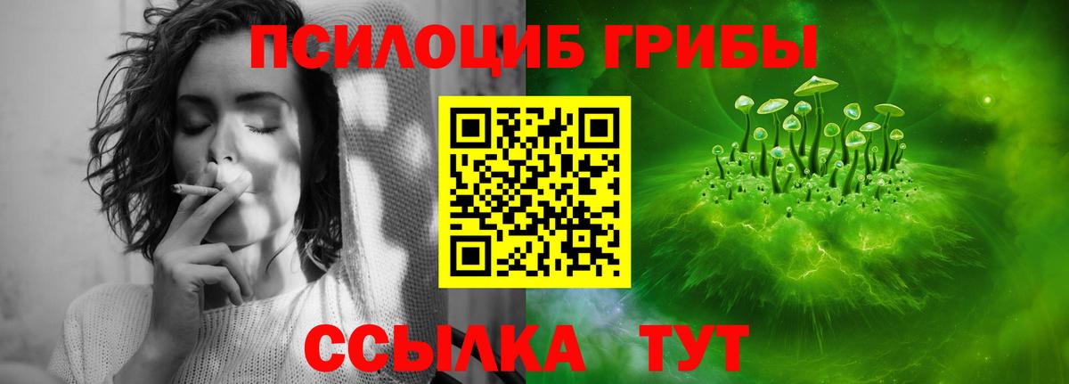 Галлюциногенные грибы GOLDEN TEACHER  Вход с VPN  Галлюциногенные грибы Psilocybe  Химки 